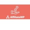Buy get AffiliateWP WordPress plugin download – External Referral Links