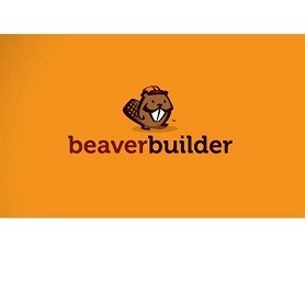 Buy get Beaver Builder Agency Version WordPress plugin download