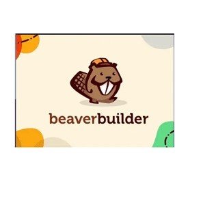 Buy get Beaver Builder Pro WordPress Plugin download