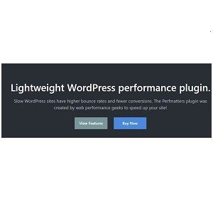 Buy get Perfmatters WordPress Plugin download