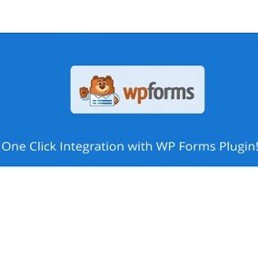 Buy get WP Forms Extension for AMP WordPress plugin download