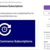 Enhancer-for-WooCommerce-Subscriptions